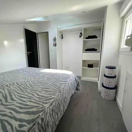 Duplex Cosy Nancy A 10 Minutes Appartement