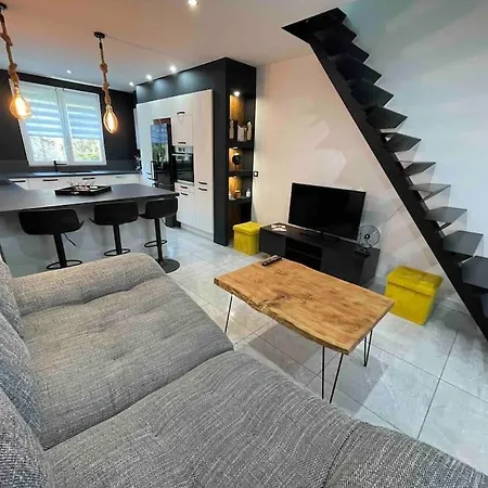 Apartment Duplex Cosy Nancy A 10 Minutes *