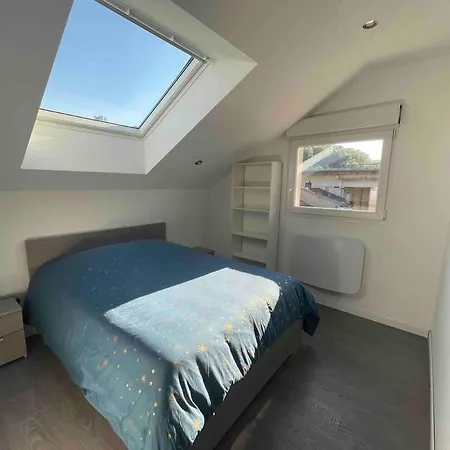 Duplex Cosy Nancy A 10 Minutes Apartment *