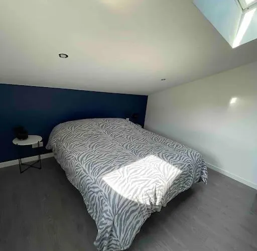 Duplex Cosy Nancy A 10 Minutes Apartment *